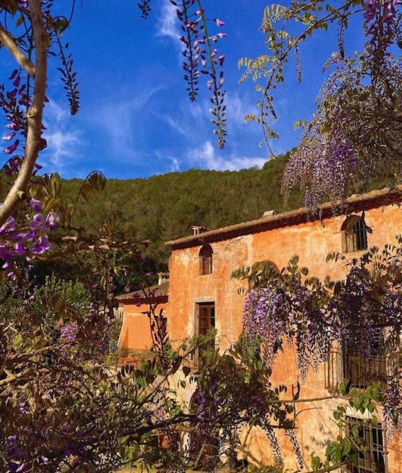 Villa Catalina Aka Villa Almanita Sant Pere De Ribes Exteriör bild